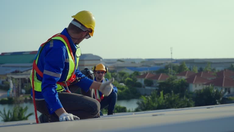 Best Skylight Installation and Repair  in Bangor, WI